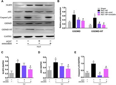 Emodin Ameliorates Acute Pancreatitis-Associated Lung Injury Through Inhibiting the Alveolar Macrophages Pyroptosis